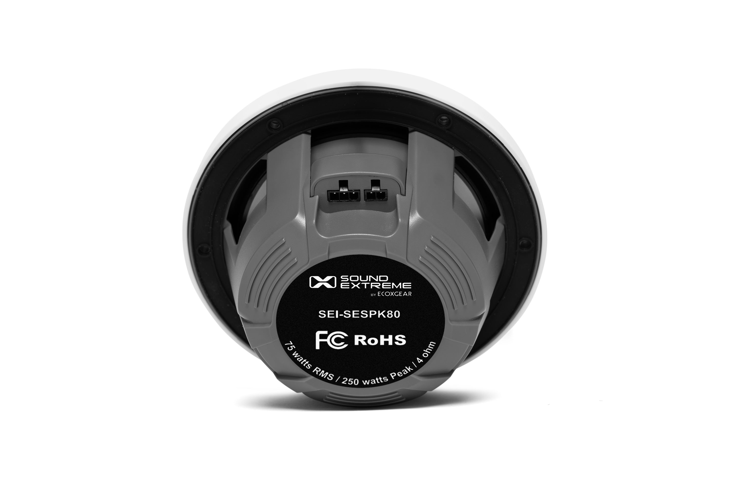 DEALER Marine Grade Wired Speaker 8" Pair with LEDCast